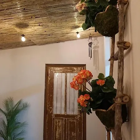 La Casa De Angel Y Olimpia Casa de Férias *