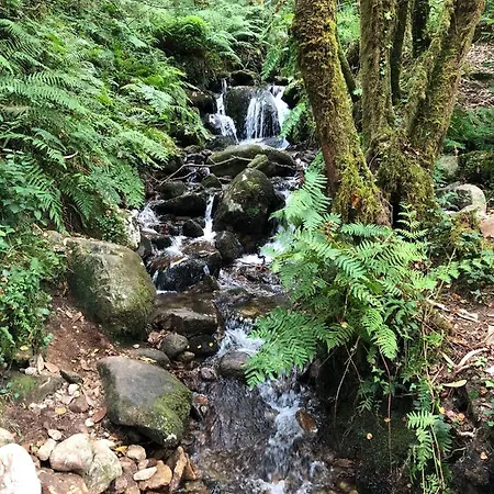 La Casa De Angel Y Olimpia