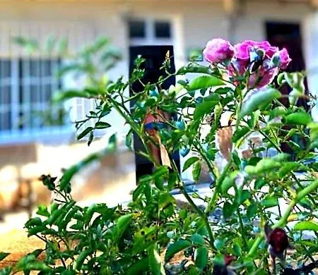 La Casa De Angel Y Olimpia Feriehus Lugo