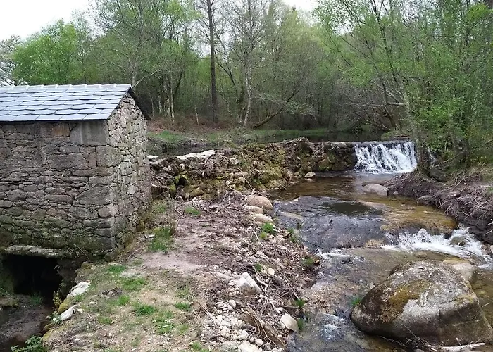 La Casa De Angel Y Olimpia