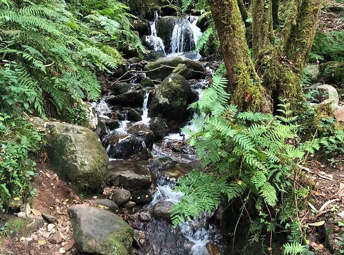 La Casa De Angel Y Olimpia